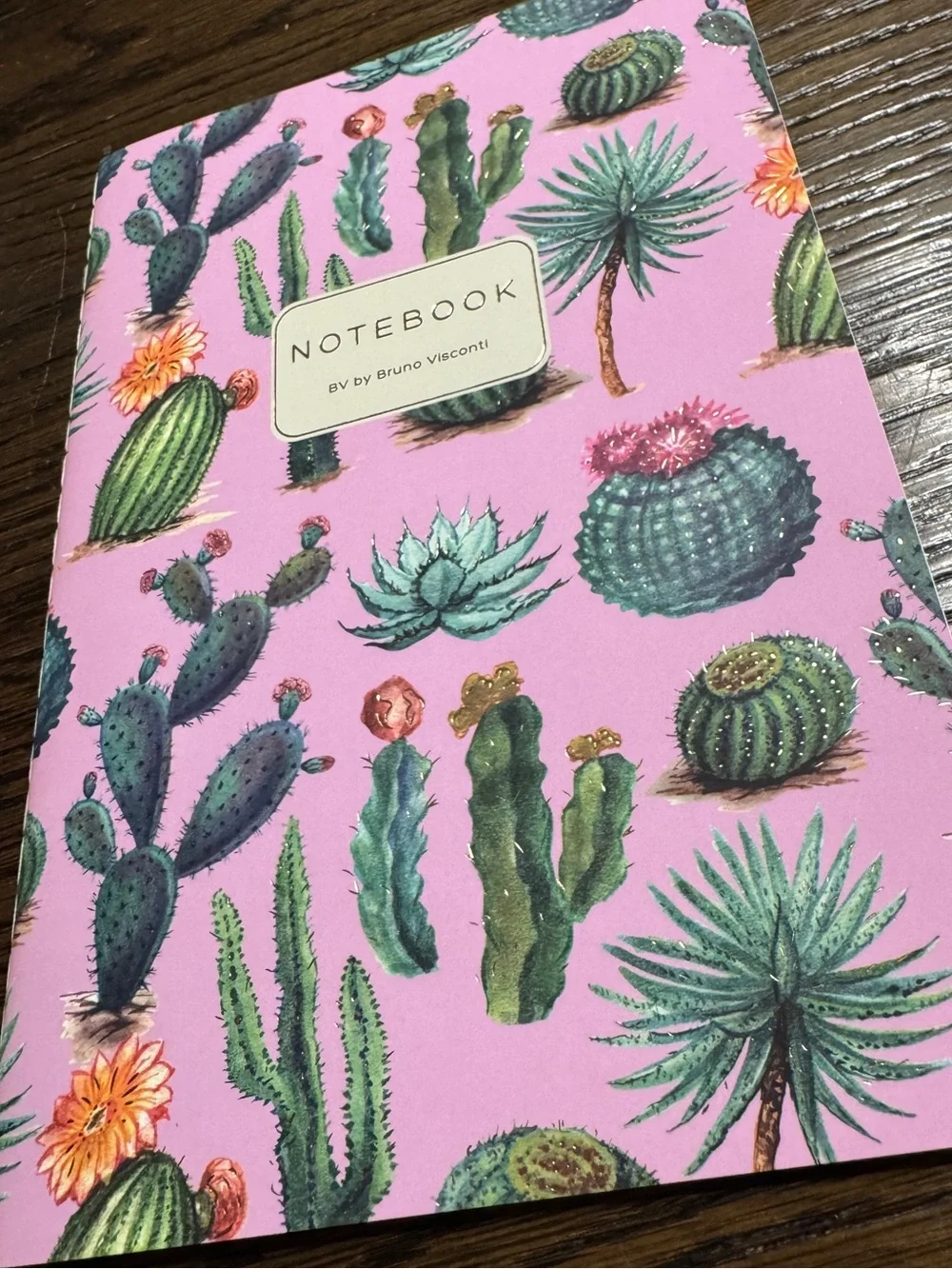 BV by Bruno Visconti A5 Journal Cactus on Rose Gold Foil NEW
